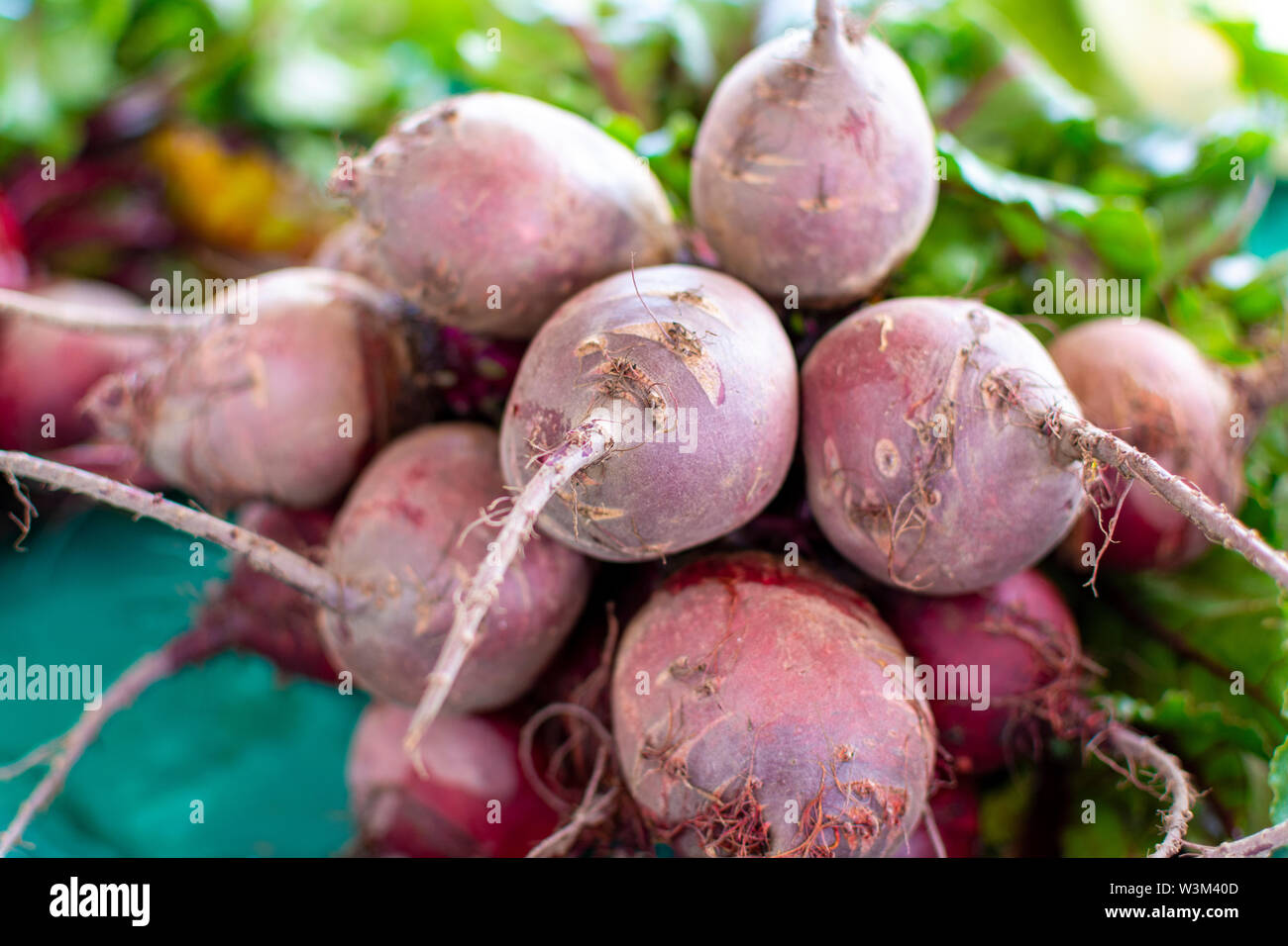Farmer Market In Nafplio Greece New Harvest Of Red Beetroot Vegetable farmer-market-in-nafplio-greece-new-harvest-of-red-beetroot-vegetable