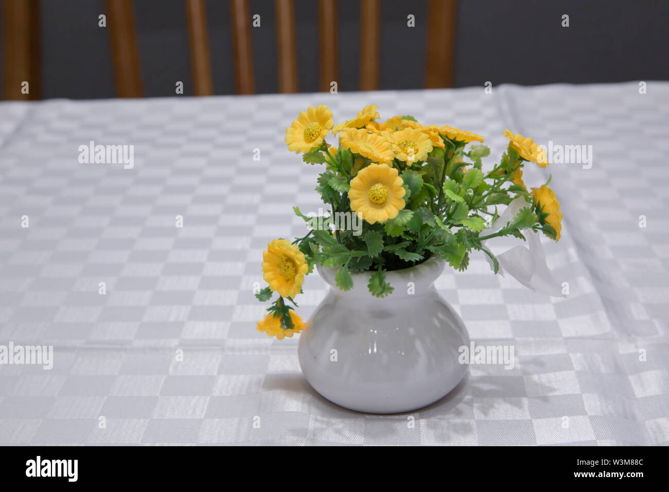 Daisy plant in container hires stock photography and images Alamy