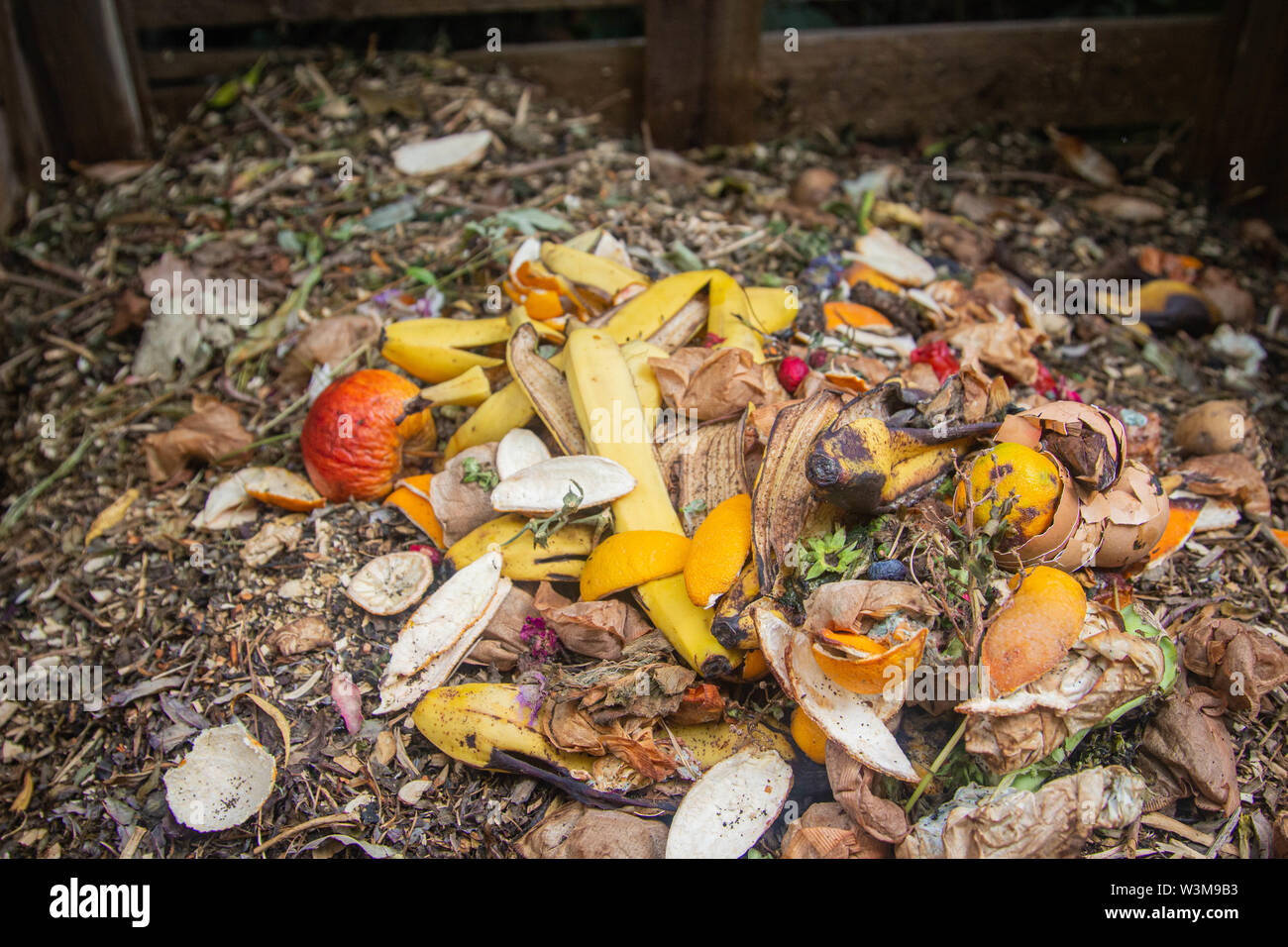 Compost bin - before and after - fresh food waste placed on top of rotted compost. Home composting. Stock Photo