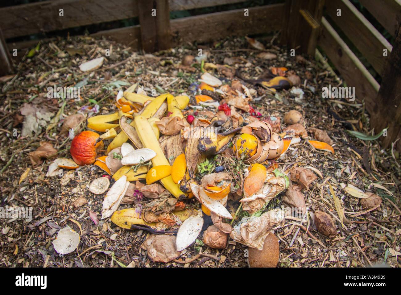 Compost bin - before and after - fresh food waste placed on top of rotted compost. Home composting. Stock Photo