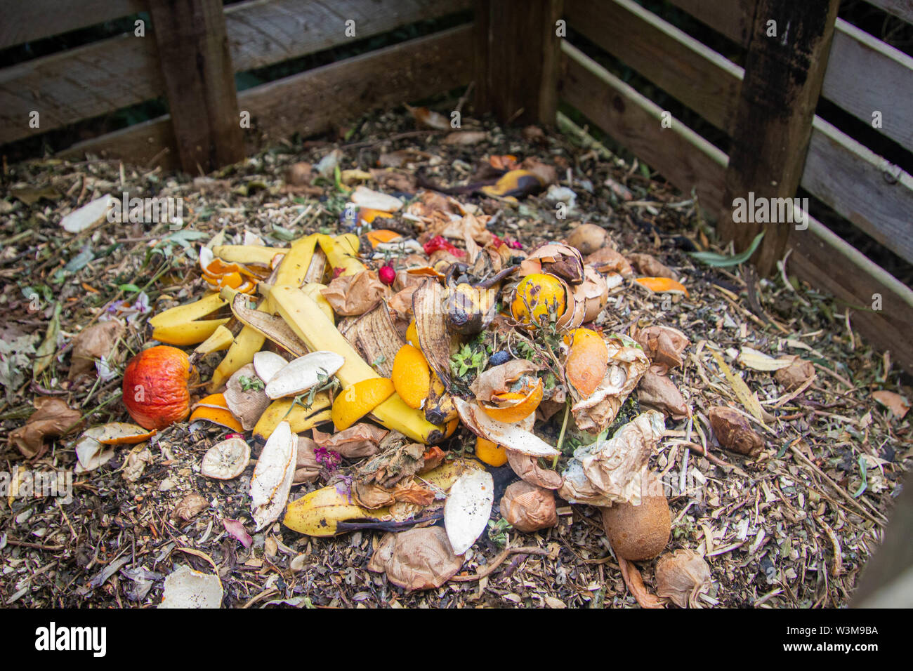 Compost bin before and after fresh food waste placed on top of