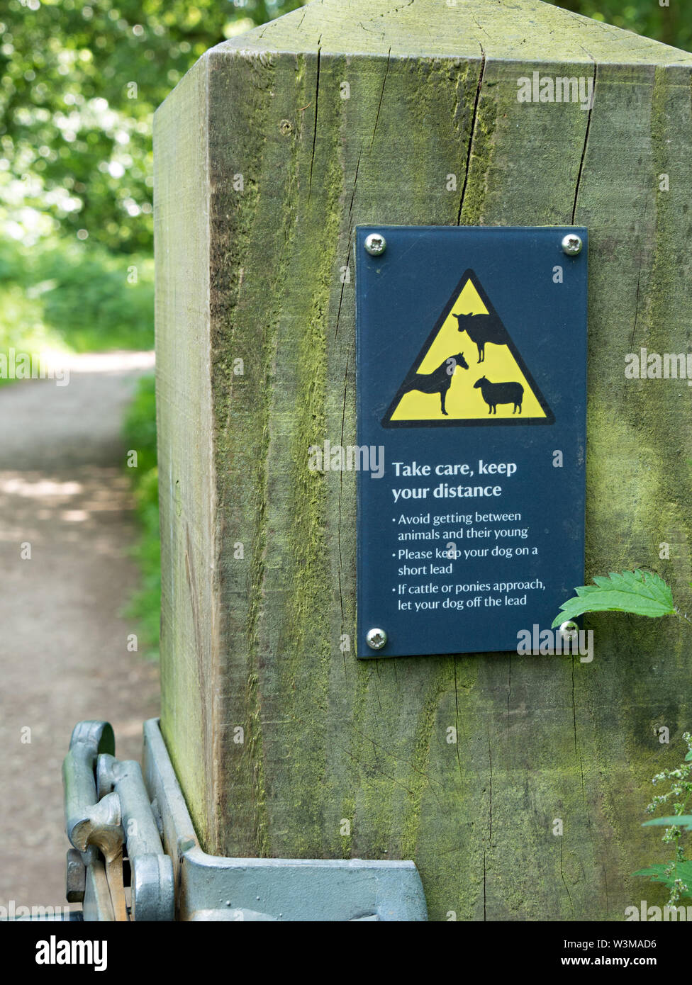 Gatepost with livestock warning sign alerting walkers and dog owners to the presence of animals on the footpath beyond, Derbyshire, UK Stock Photo
