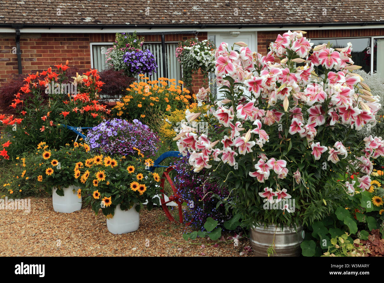 Hanging baskets hires stock photography and images Alamy