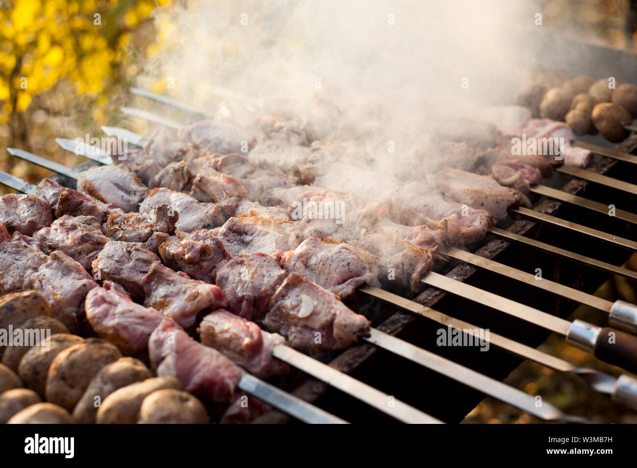 Beef And Pork Steak Bbq On The Grill Stock Photo Alamy beef-and-pork-steak-bbq-on-the-grill-stock-photo-alamy