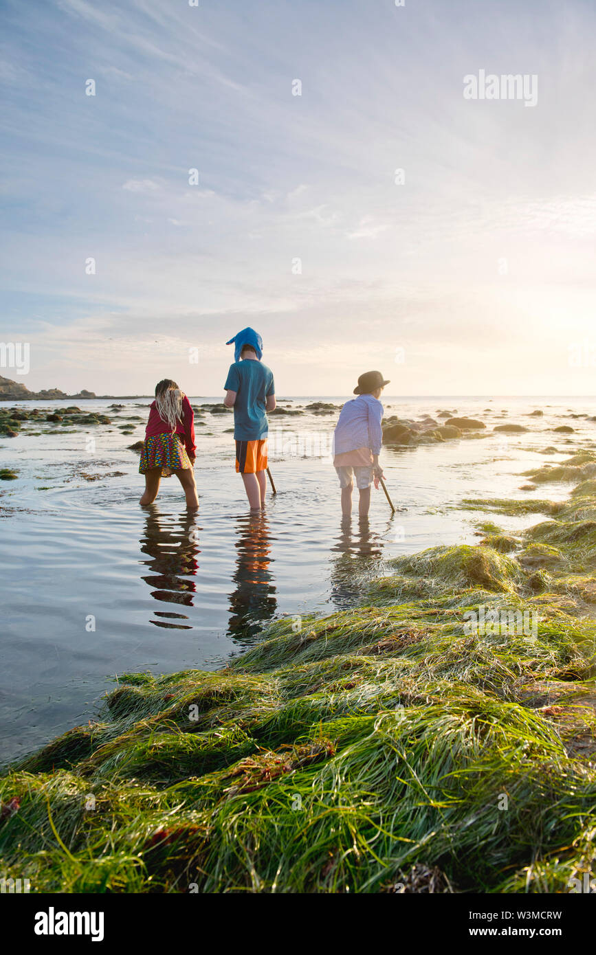 La Jolla Tide Pool Reflection High Resolution Stock Photography And 