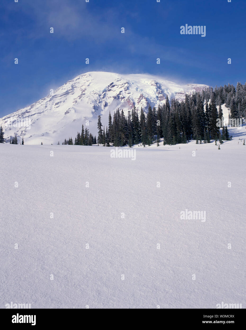 USA, Washington, Mt. Rainier National Park, Winter snow accumulates on the south side of Mt. Rainier. Stock Photo