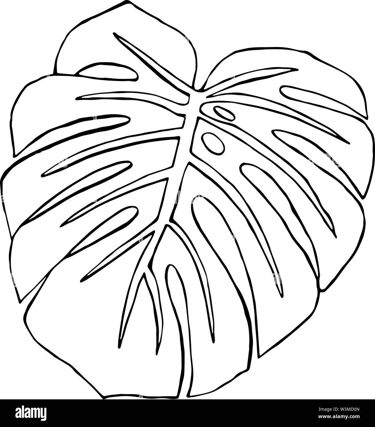 Monstera leaf. Black and white illustration Stock Vector Image & Art - Alamy