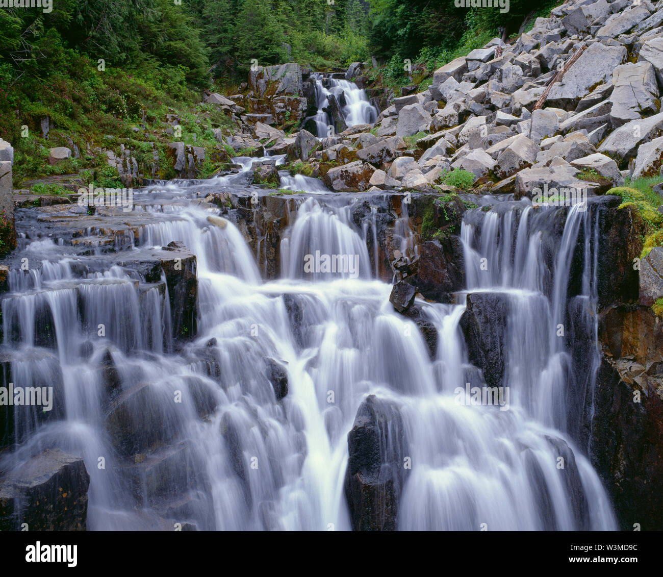 USA, Washington, Mt. Rainier National Park, Waterfall on Sunbeam Creek descends over irregular rocks. Stock Photo