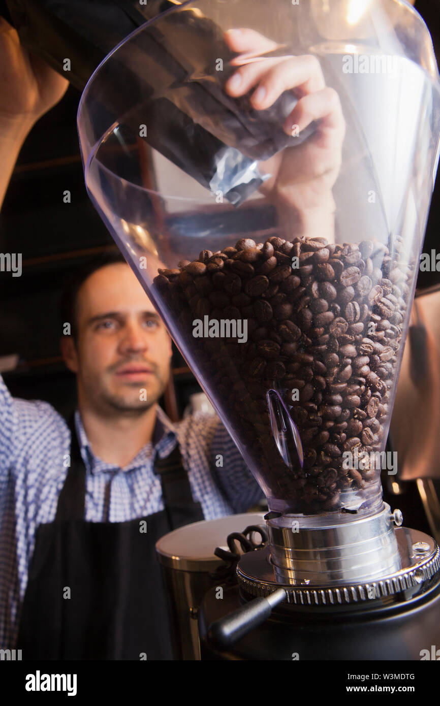 Barista pouring coffee beans into grinder Stock Photo Alamy