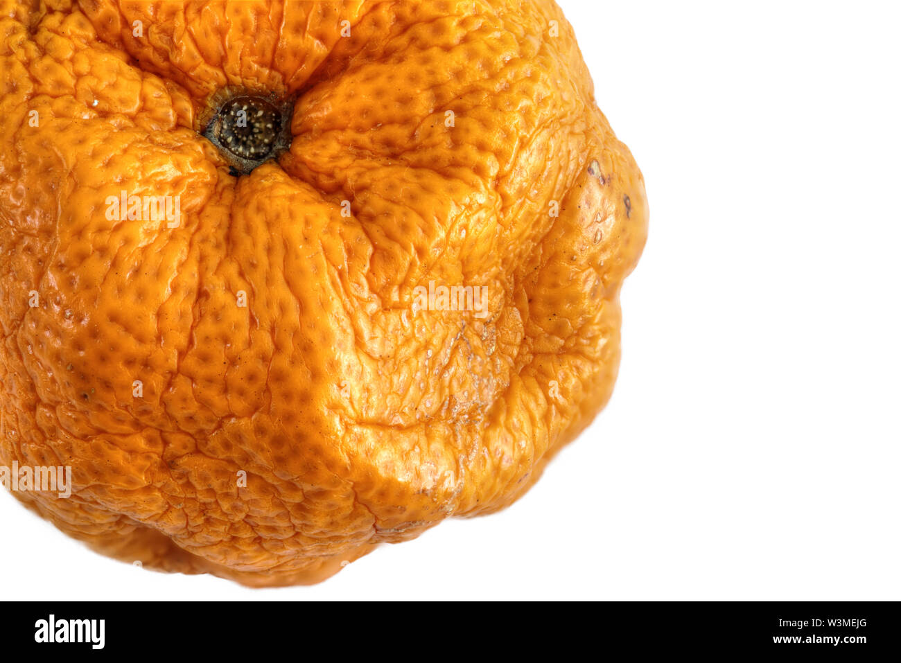 Orange Overdated Isolated old orange showing effects of age and deformities on a white ...
