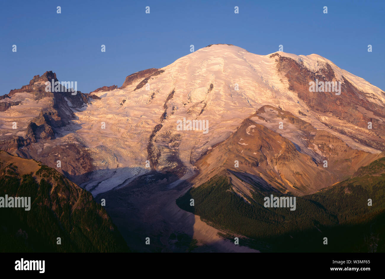 USA, Washington, Mt. Rainier National Park, First light of day on Emmons Glacier and east side of Mt. Rainier, from Sunrise area. Stock Photo