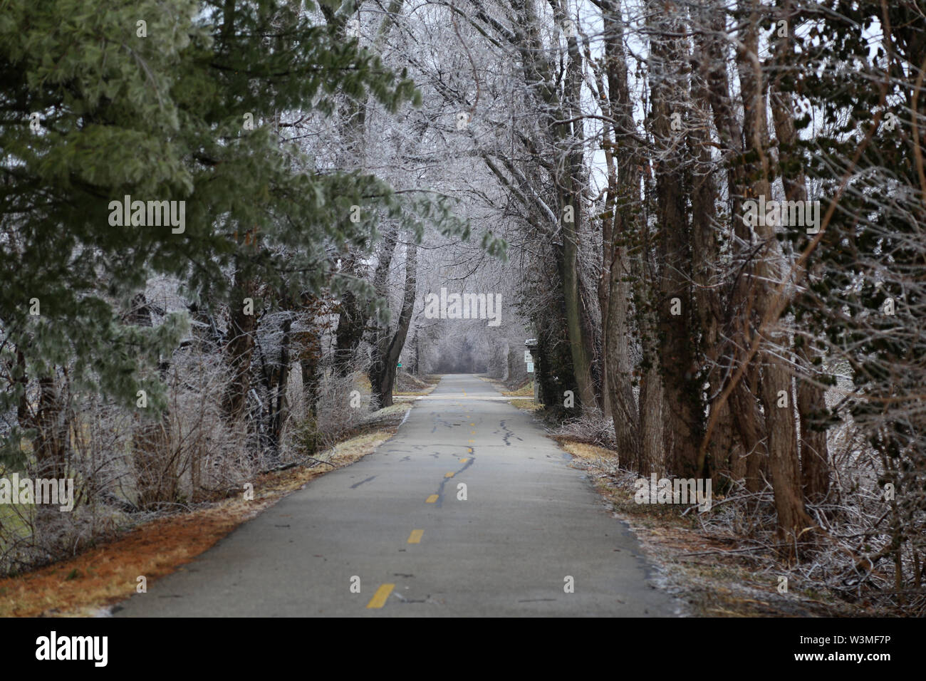 Winter Springfield Il Illinois winter hi-res stock photography and images - Alamy
