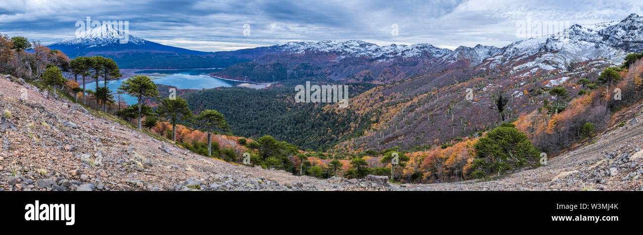 A view during Autumn Season of the incredible rainforests full of leaf colors over the trees above the mountain lakes at Conguillio National Park Stock Photo
