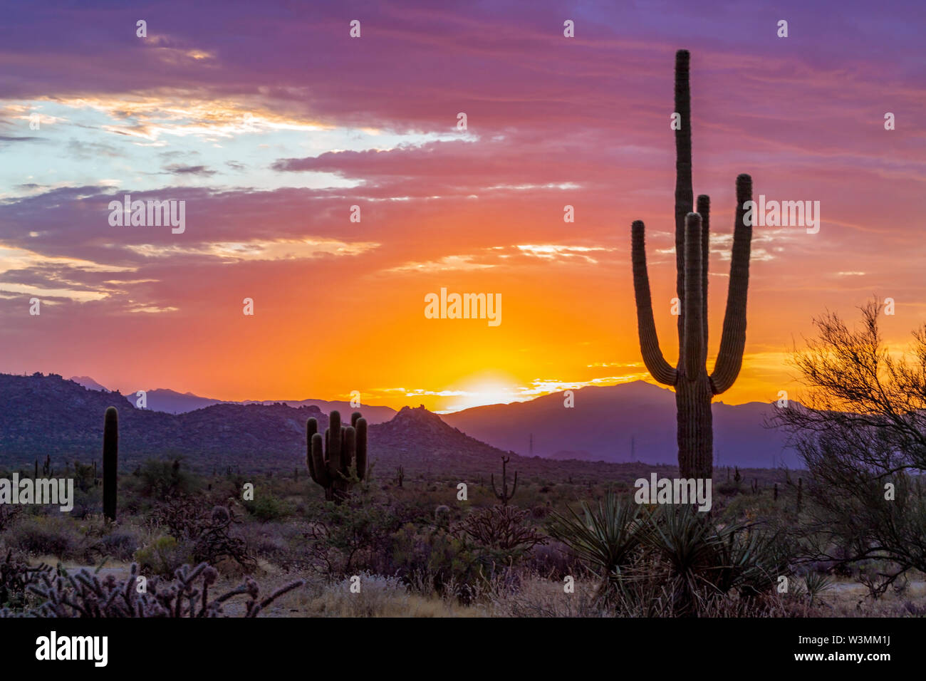 Brilliant Desert Sunrise In Arizona with cactus Stock Photo - Alamy
