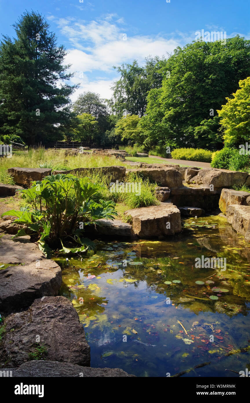 UK,South Yorkshire,Rotherham,Clifton Park Rock Garden Stock Photo Alamy