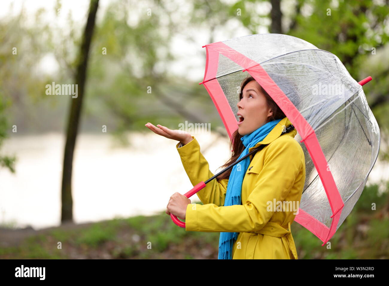 Woman walking in the rain in Autumn forest. Pretty girl feels the raindrops walking in forest by lake in fall. Mixed race Asian Caucasian female model with funny ecxpression. Stock Photo