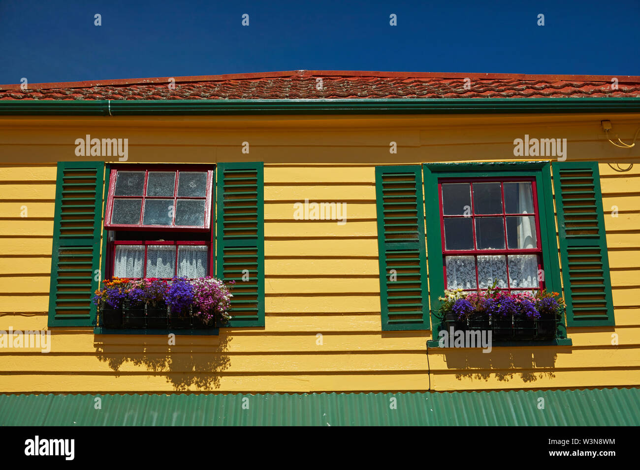 Flowers and window, Fire and Ice Shop, Akaroa, Banks Peninsula