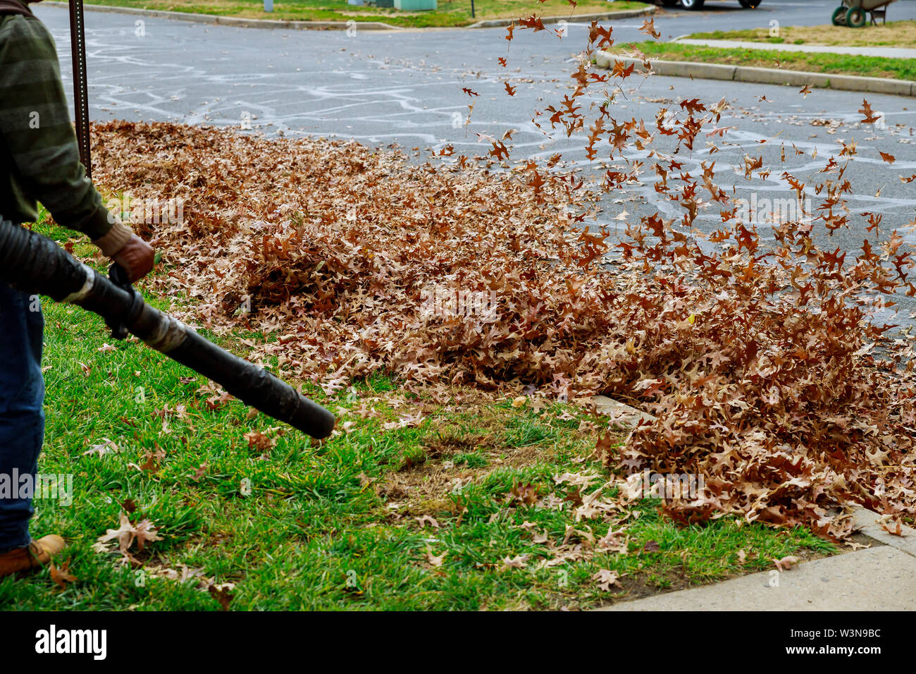 Сдувать листья с газона осенью. Horizon zero dawn затопление вентили. Грабли для убирания листьев. Уборка листьев. Сгребание листьев.