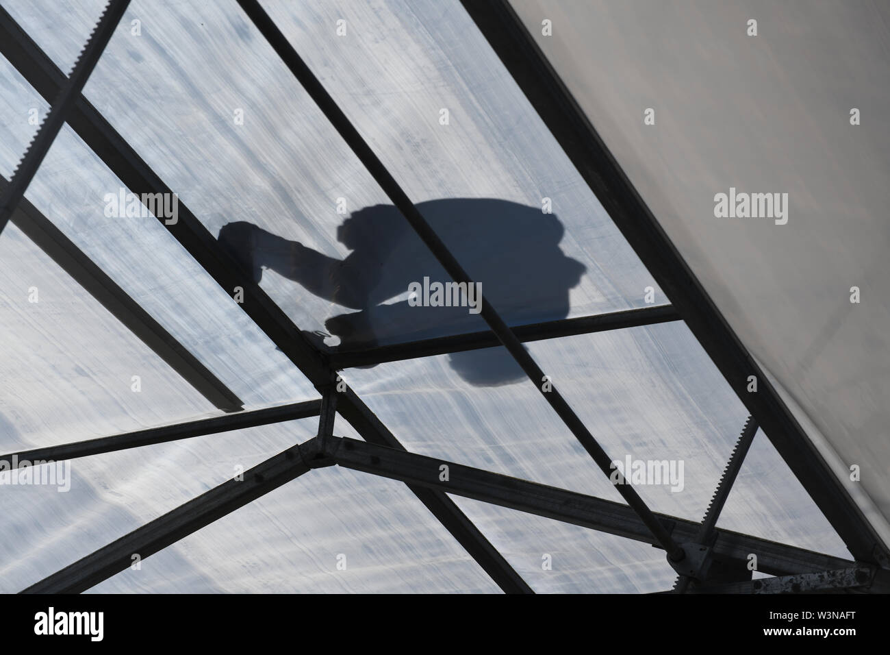 GREYMOUTH, NEW ZEALAND, DECEMBER 12, 2018: A tradesman is seen in silhouette as he secures the plastic on the ridge of a tunnel house. Stock Photo