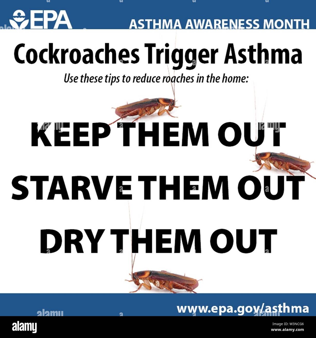 Cockroaches Trigger Asthma Stock Photo Alamy