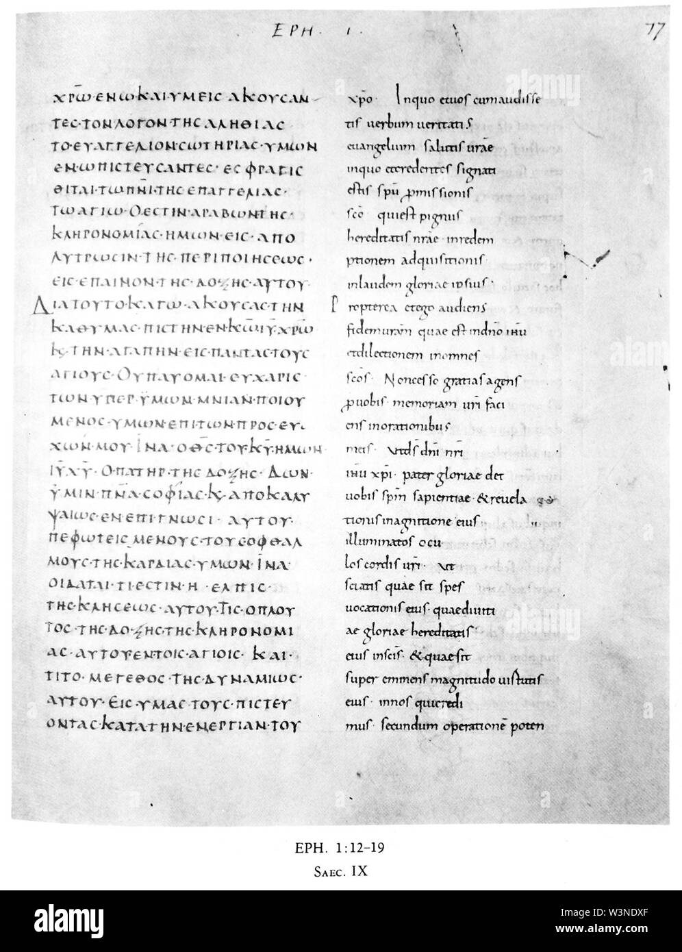 Codex Augiensis (Eph 1,12-19). Stock Photo