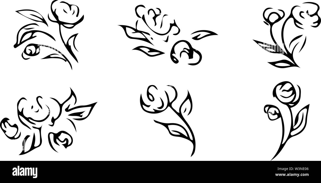 Rose outline set. Isolated drawing. Vintage sketch. Nature vector