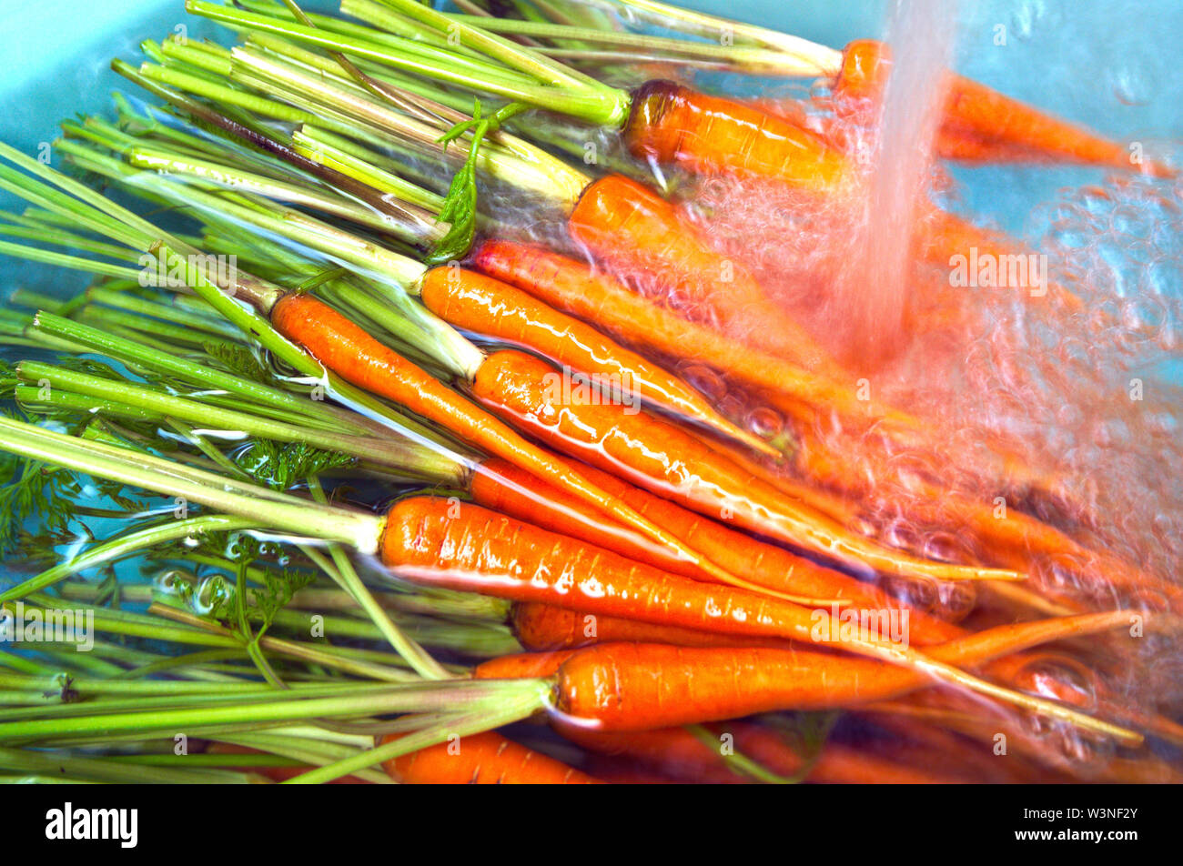 Prepare for cooking, Soak carrots in bowl with water and washing by