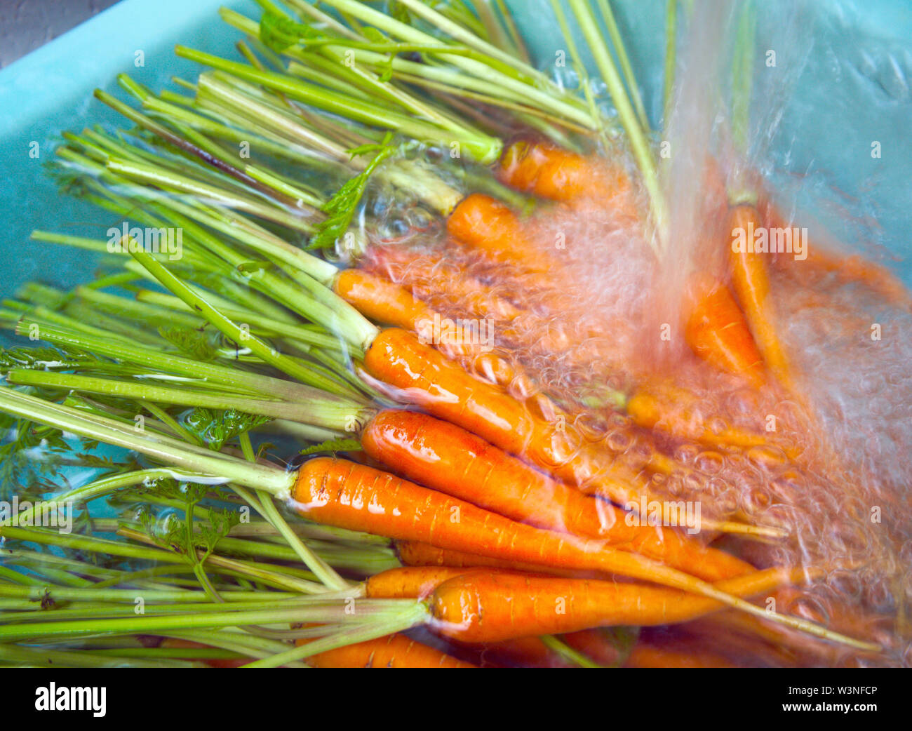 Carrots And Water Splash High Resolution Stock Photography and Images