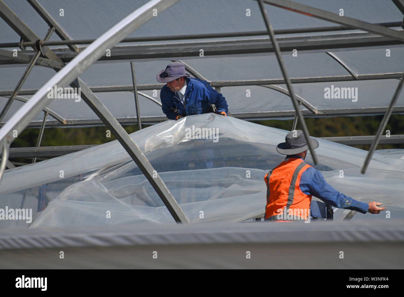 GREYMOUTH, NEW ZEALAND, DECEMBER 12, 2018: Tradesmen secure the plastic on a new tunnel house. Stock Photo