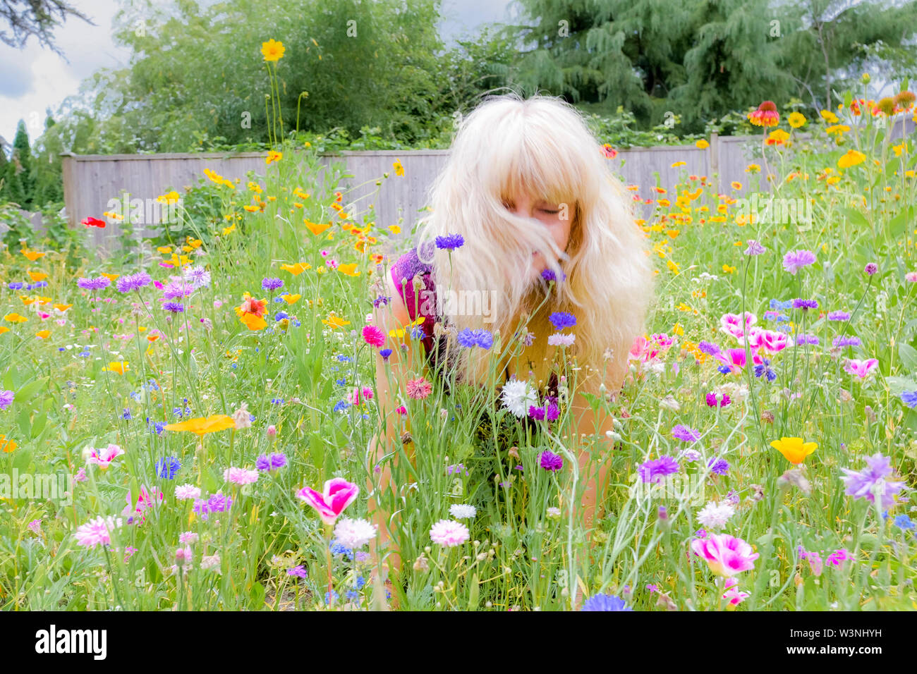 Blonde middle aged woman in her backyard full of wildflowers. Lawn replacement. Stock Photo