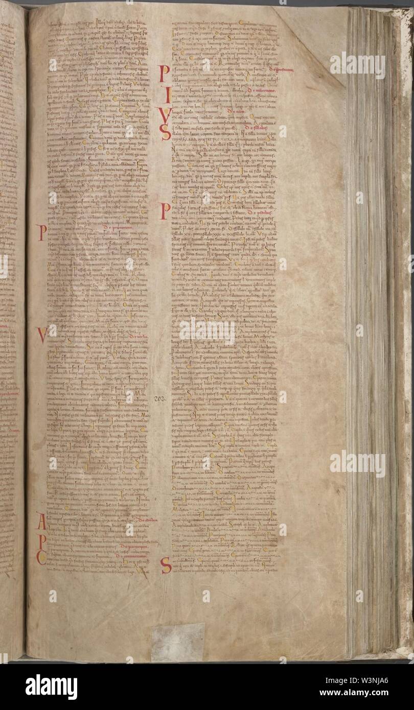 CodexGigas 401 Isidorus. Stock Photo