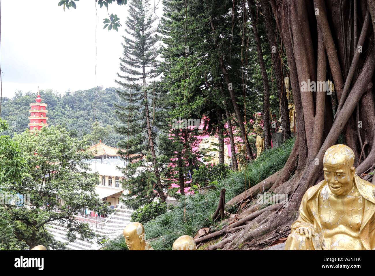 Ten Thousand Buddhas Stock Photo - Alamy