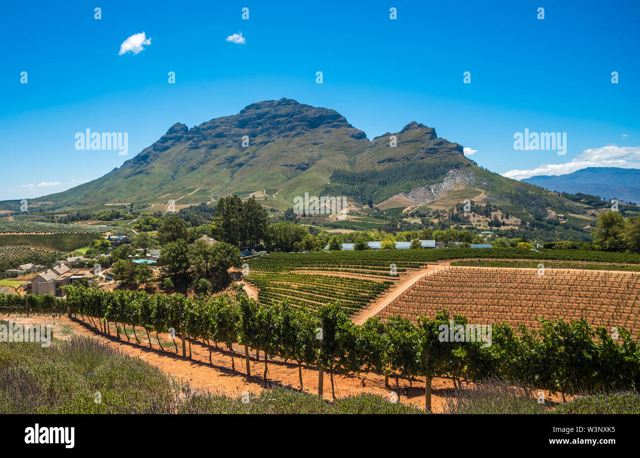 Beautiful landscape of Cape Winelands, wine growing region in South Africa Stock Photo