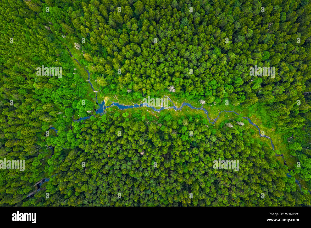 Green forest river aerial hi-res stock photography and images - Alamy