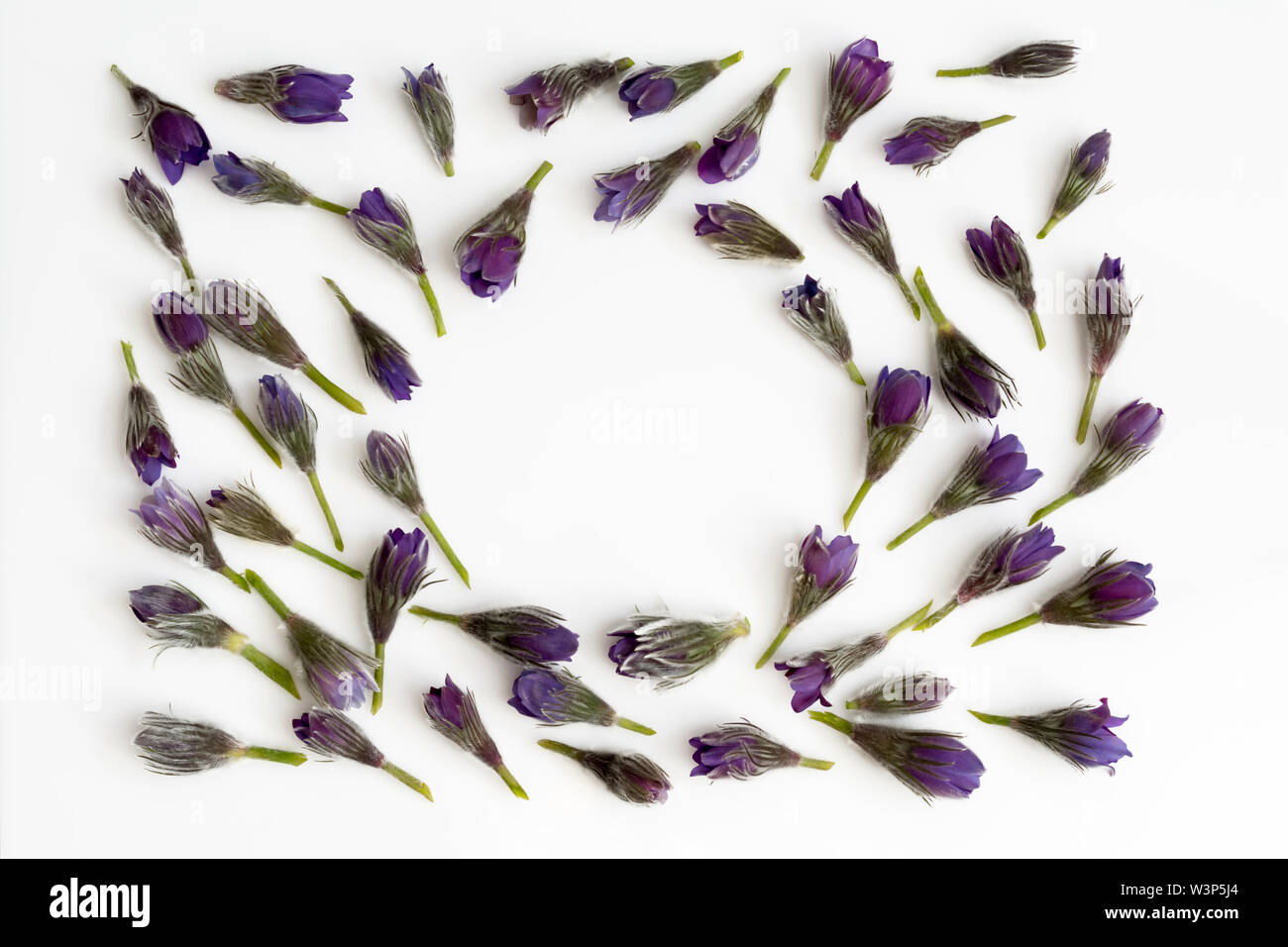 Flowers composition. round frame made of various colorful flowers on white background. Flat lay, top view, copy space Stock Photo