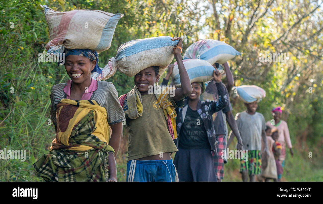 Group of people coming back form the fields, carrying bags on their heads, with big smiles in font of me. Betsileo countryside, close to RN7 road. Stock Photo