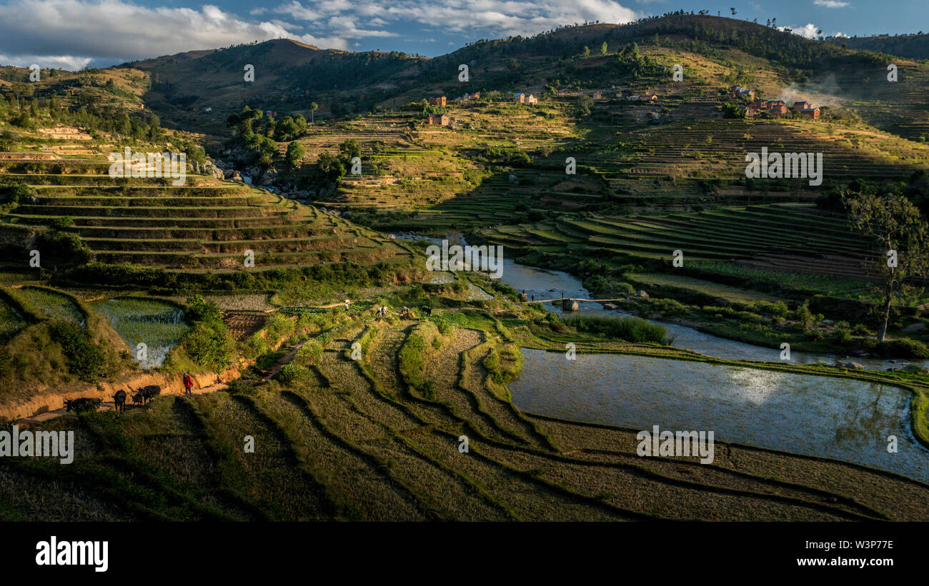 Ricefields and traditionnal Betsileo houses on Madagascar highlands, close to Ambositra, on the main N7 road. Stock Photo