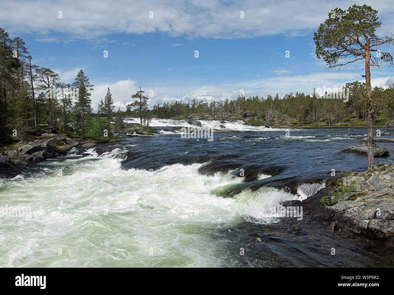 Rapids Trollforsen in the river Pitealven, Moskosel, Arvidsjaur, Lapland, Sweden Stock Photo