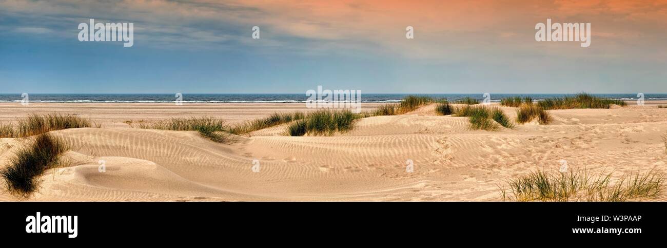 Sandy beach with dune grass, North Sea, Norderney, Germany Stock Photo