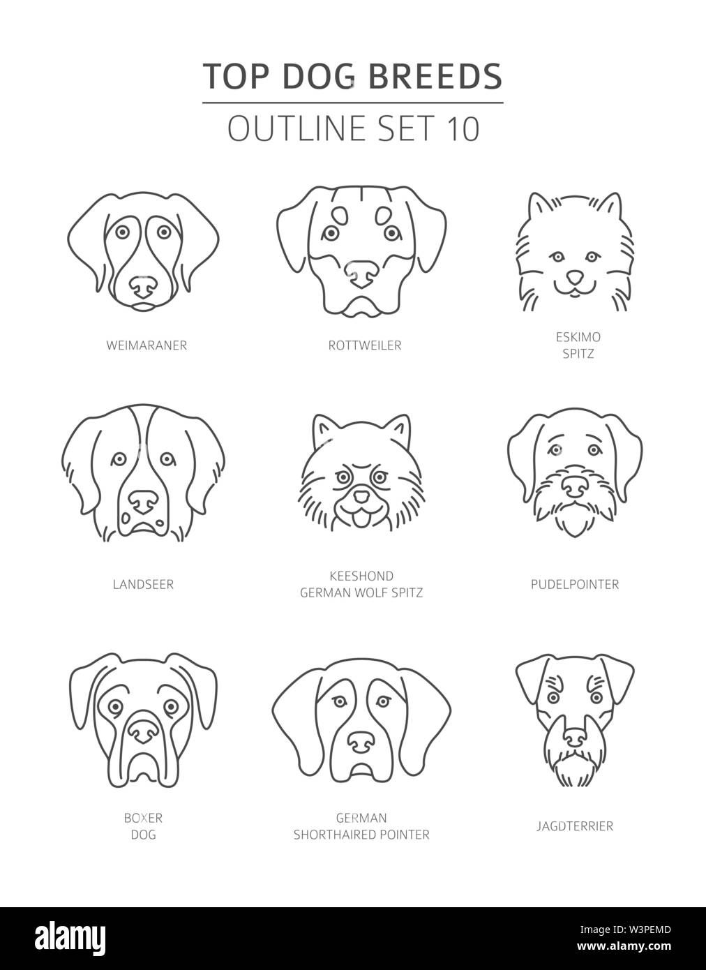 Top dog breeds. Pet outline collection. Vector illustration Stock