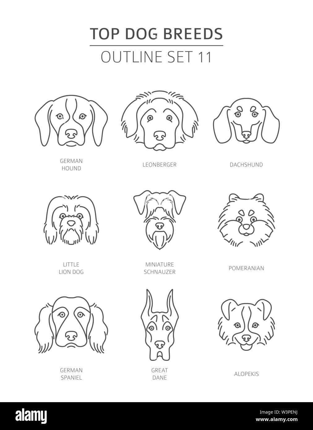 Top dog breeds. Pet outline collection. Vector illustration Stock Vector