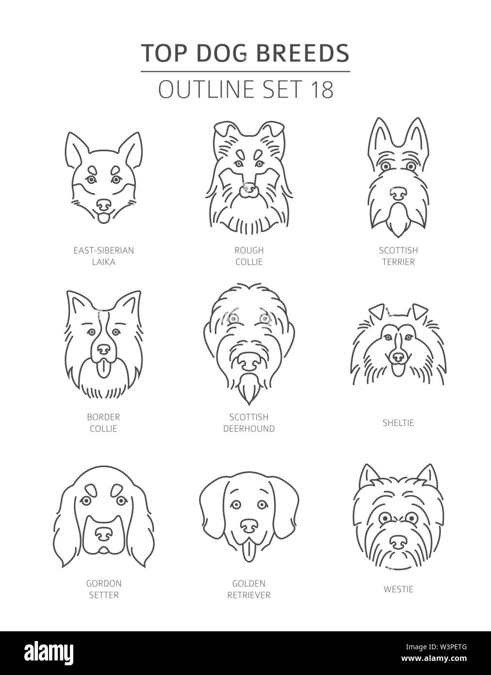Top dog breeds. Pet outline collection. Vector illustration Stock