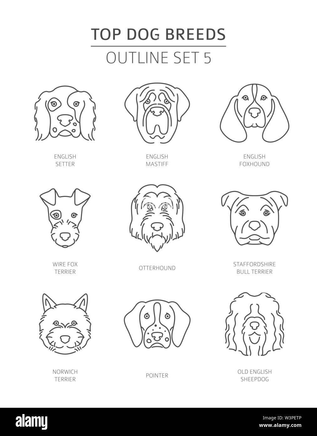 Top dog breeds. Pet outline collection. Vector illustration Stock Vector