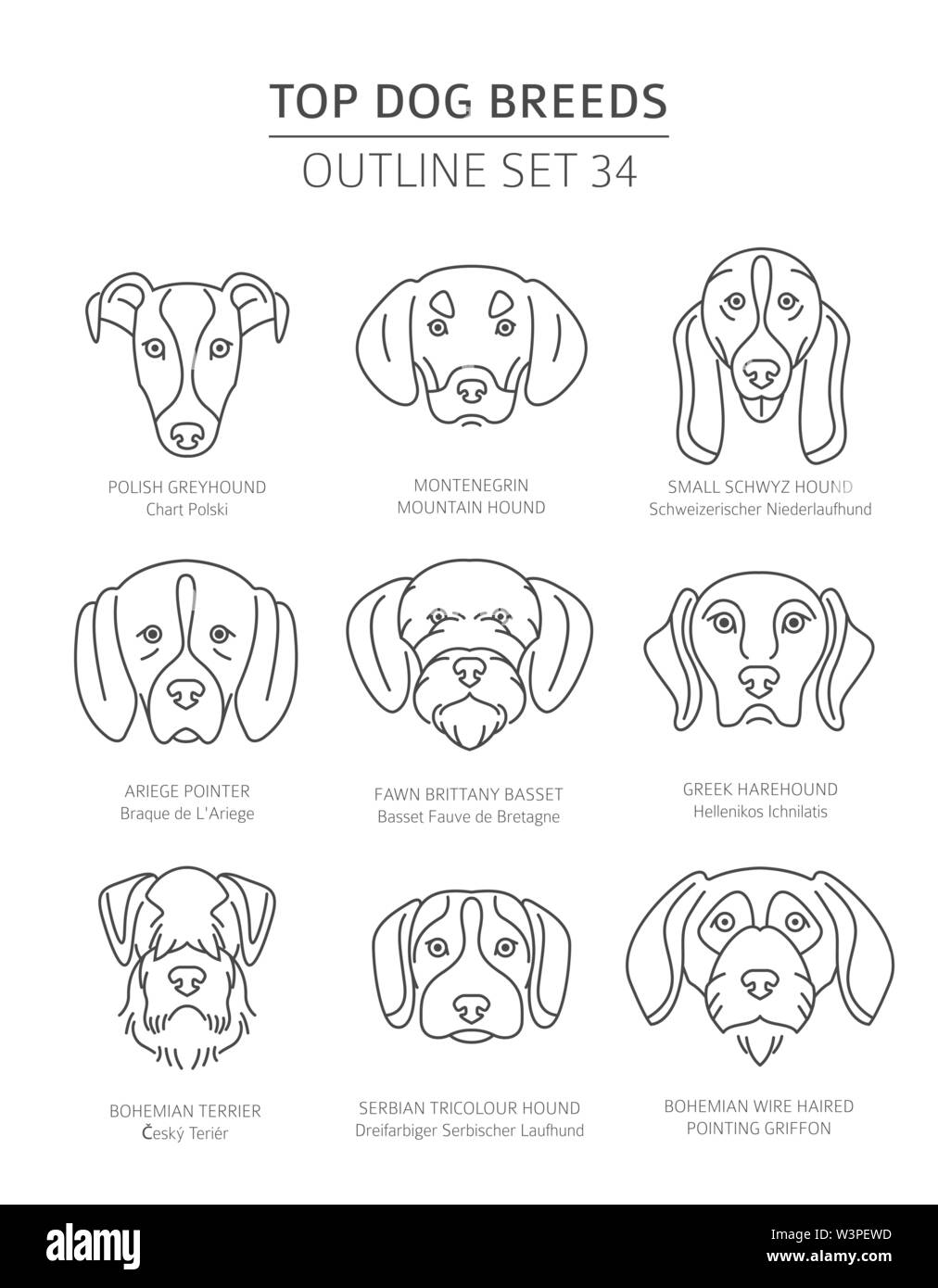 Top dog breeds. Hunting dogs set. Pet outline collection. Vector illustration Stock Vector