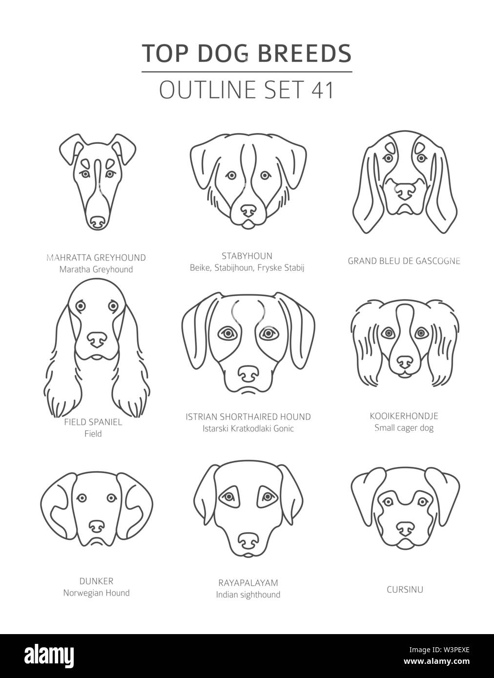 Mahratta greyhound sales