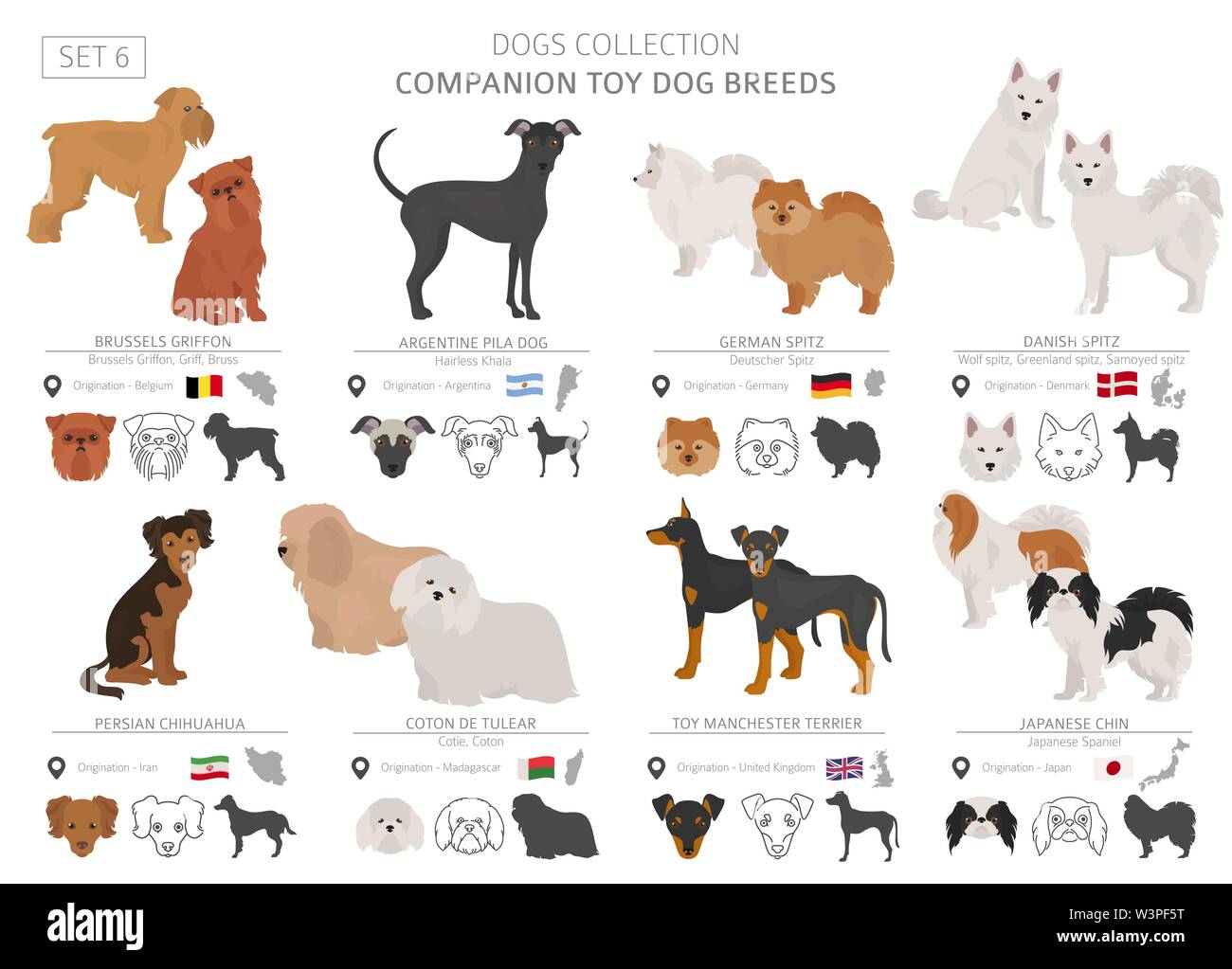 Toy Dog Breeds Chart