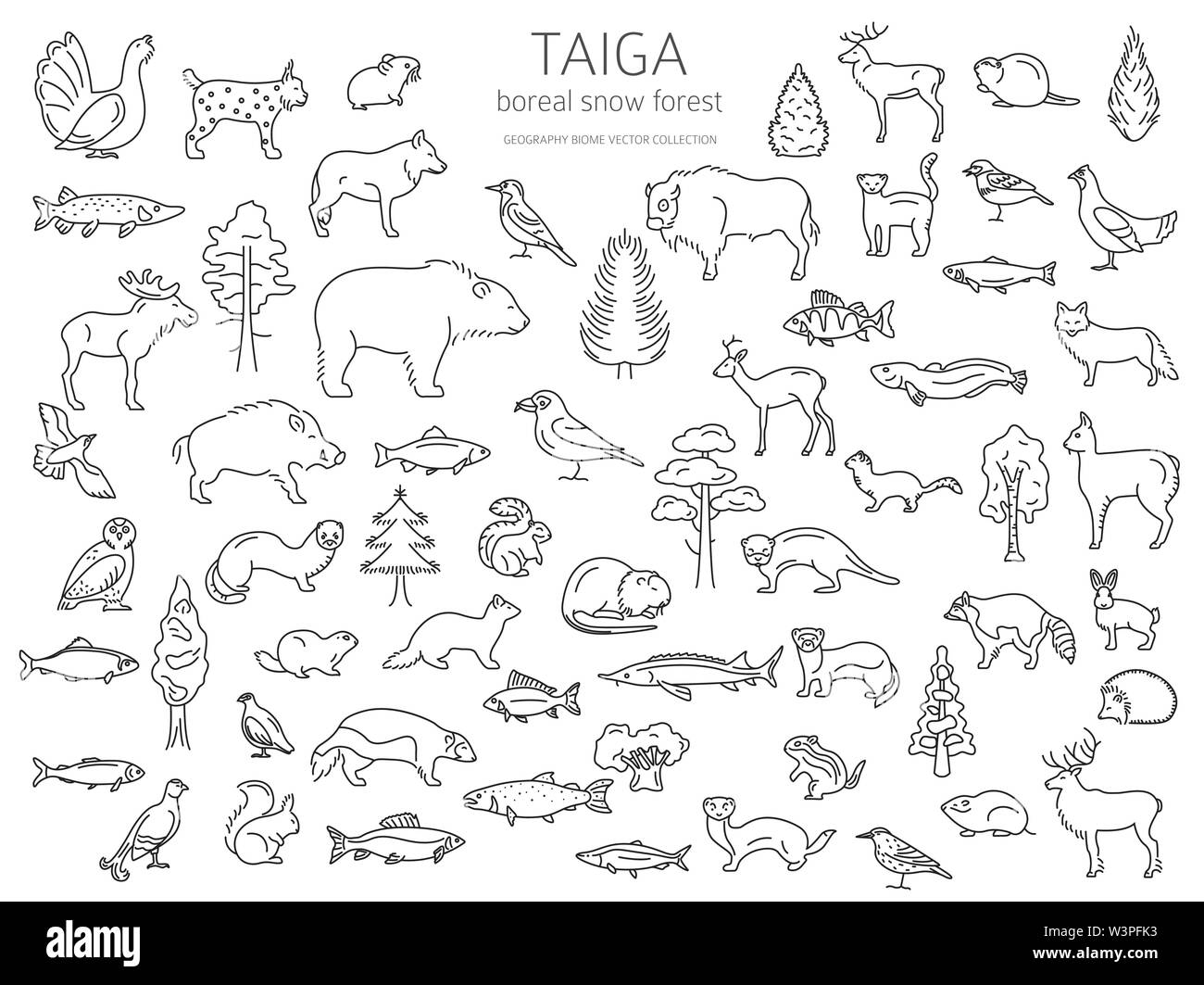Taiga biome boreal snow forest seamless pattern Vector Image