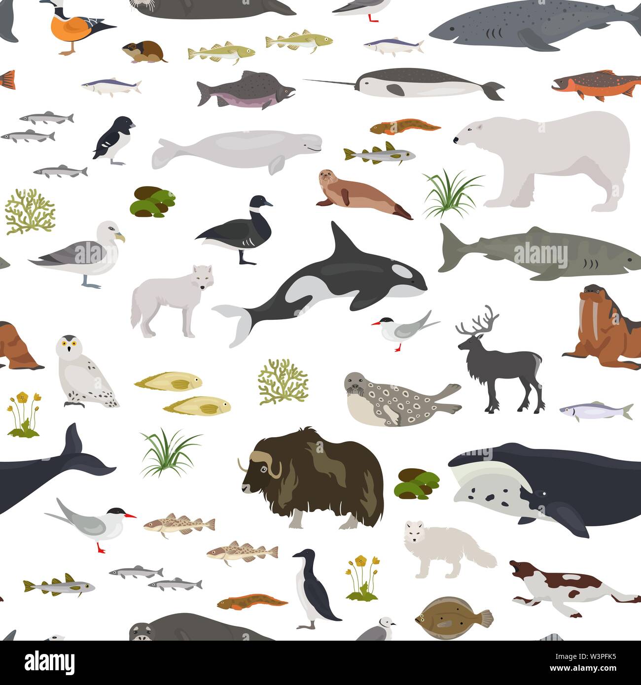 Ice sheet and polar desert biome. Terrestrial ecosystem world map. Arctic animals, birds, fish and plants seamless pattern design. Vector illustration Stock Vector