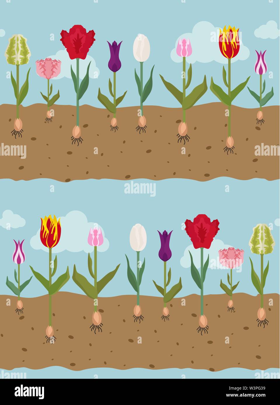 Tulip varieties flat seamless pattern. Garden flower and house plants. Vector illustration Stock Vector