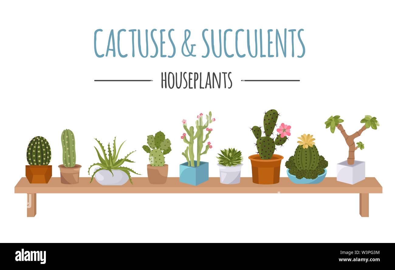Cactuses and succulents icon set. Houseplants. Vector illustration Stock Vector